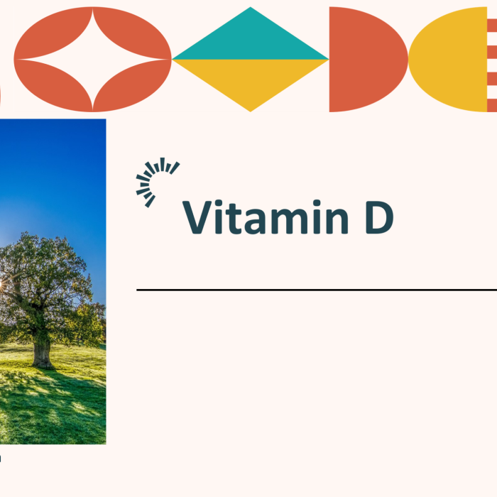The importance of Vit. D