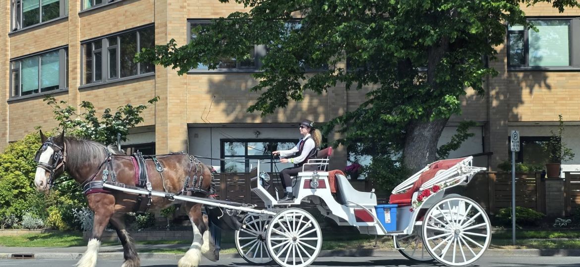 horse&carrige