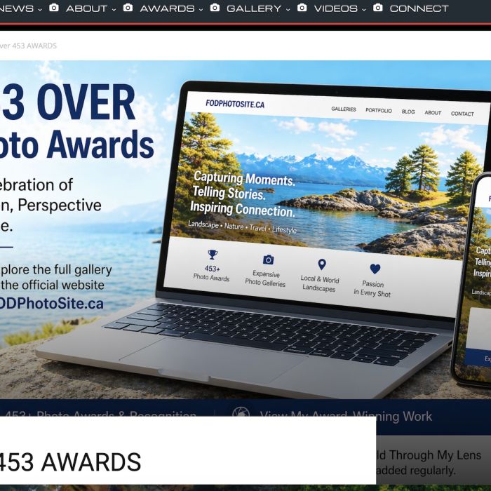 453 Photo AWARDS